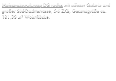 Maisonettewohnung DG rechts mit offener Galerie und großer Süd-Dachterrasse, 5-6 ZKB, Gesamtgröße ca. 181,38 m² Wohnfläche, Kaufpreis 227.000 €. PROVISIONSFREI